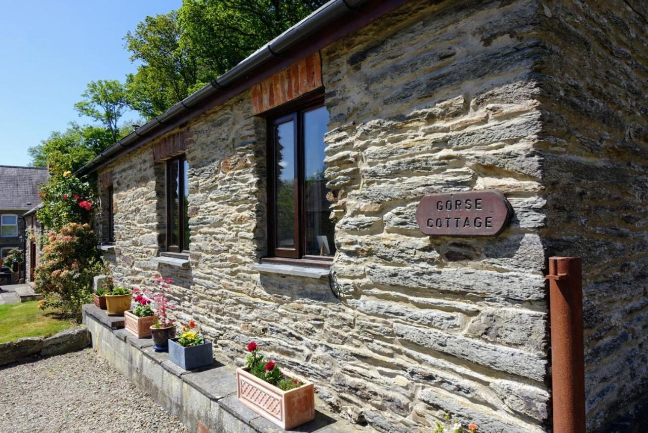 Troedyrhiw Holiday Cottages Cardigan Esterno foto