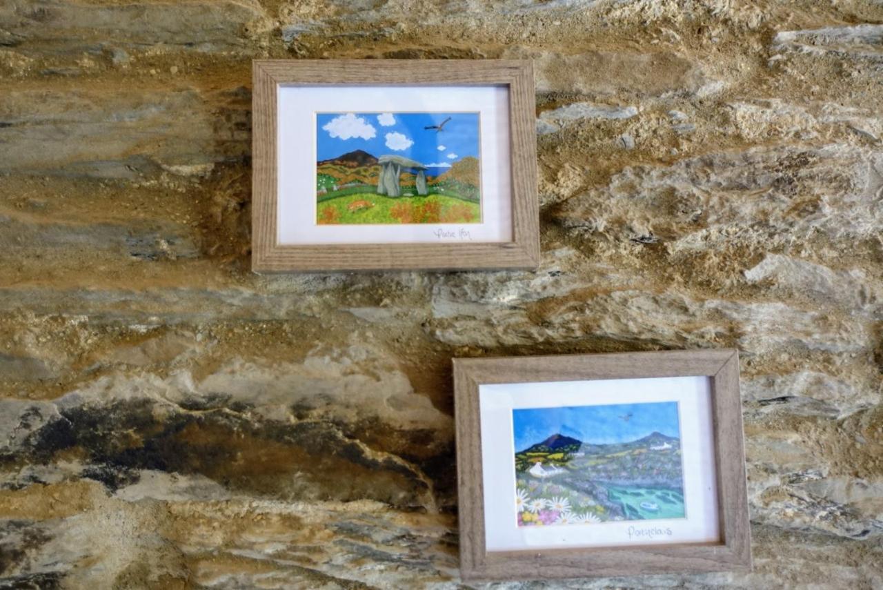 Troedyrhiw Holiday Cottages Cardigan Esterno foto
